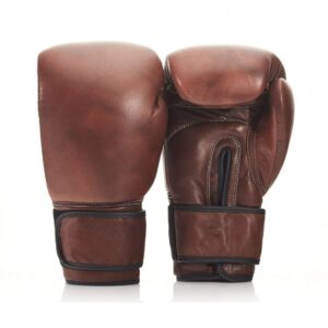 Luxury Retro Boxing Gloves